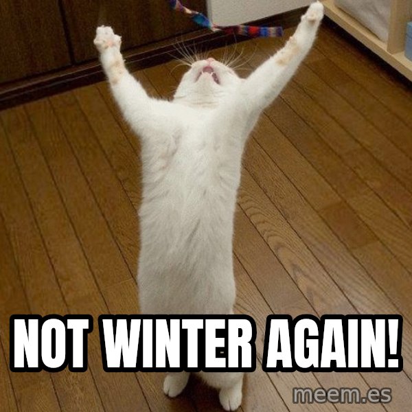 praise the lord cat meme: Not winter again!