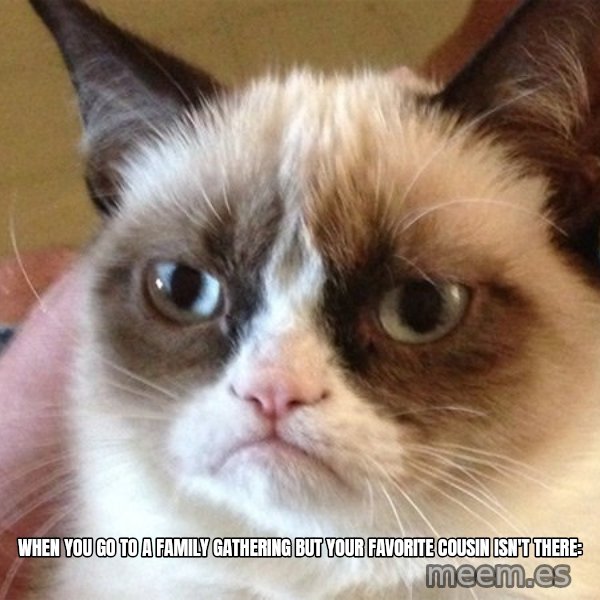 Angry Cat Meme meme: When you go to a family gathering but your favorite cousin isn't there: