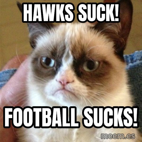 Grumpy Cat  meme: Hawks Suck! / Football Sucks!