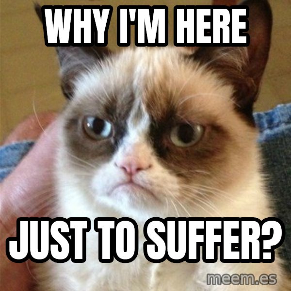 Grumpy Cat  meme: Why I'm here / Just to suffer?