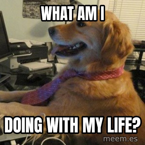 I have no idea what I'm doing - Dog with Tie meme: What am I / Doing with my life?