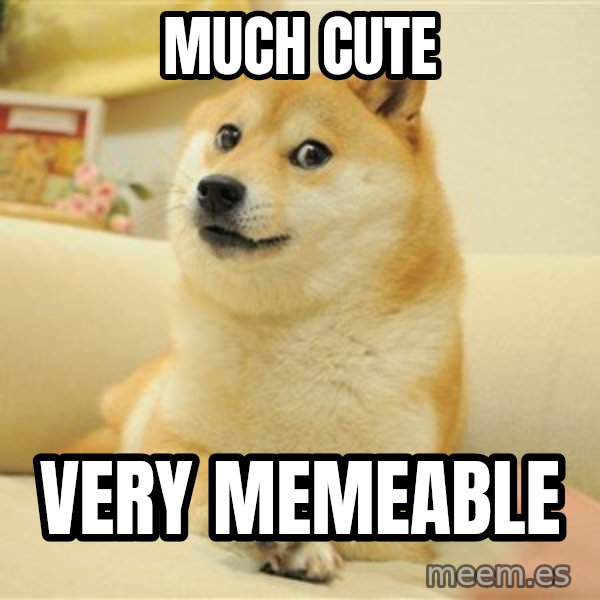 so doge meme: Much cute / Very memeable