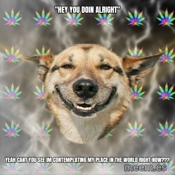 Stoner Dog meme: "hey you doin alright" / yeah cant you see im contemplating my place in the world right now???