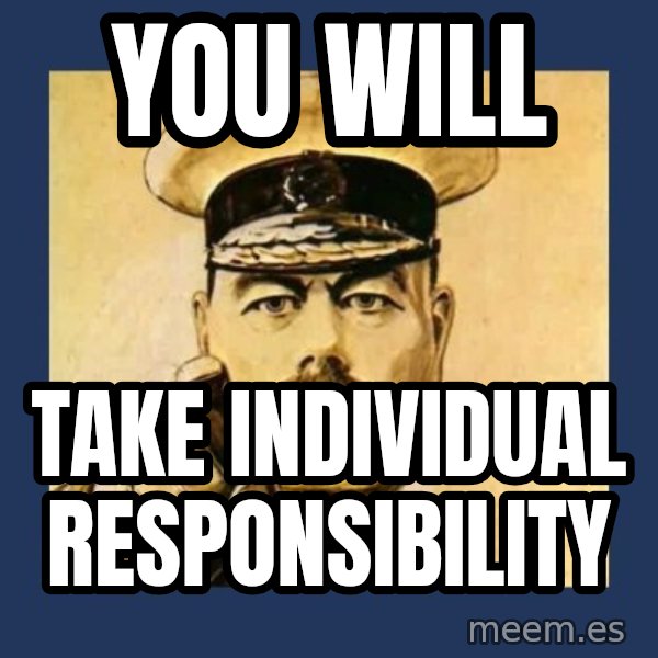 your country needs you meme: You will / Take individual responsibility