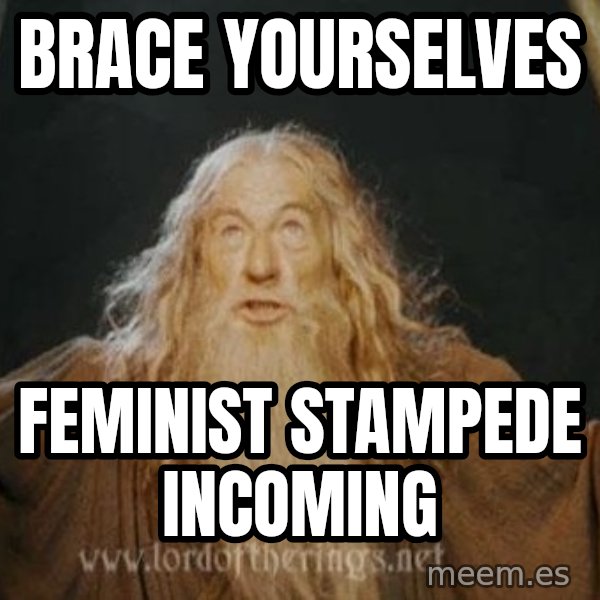 You shall not pass meme: brace yourselves / feminist stampede incoming