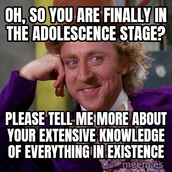 Willy Wonka meme: oh, so you are finally in the adolescence stage? / Please tell me more about your extensive knowledge of everything in existence