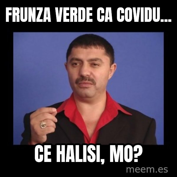Manelistul Nicolae Guta meme: Frunza verde ca covidu... / Ce halisi, mo?