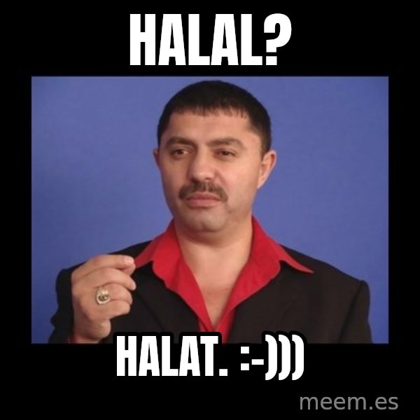 Manelistul Nicolae Guta meme: Halal? / Halat. :-)))