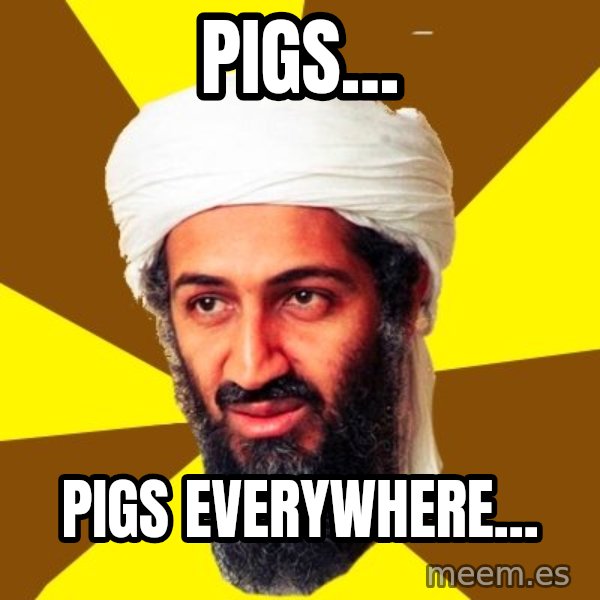 Osama meme: pigs... / pigs everywhere...