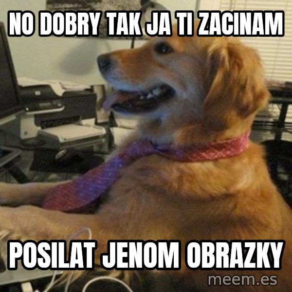 I have no idea what I'm doing - Dog with Tie meme: No dobry tak ja ti zacinam / Posilat jenom obrazky