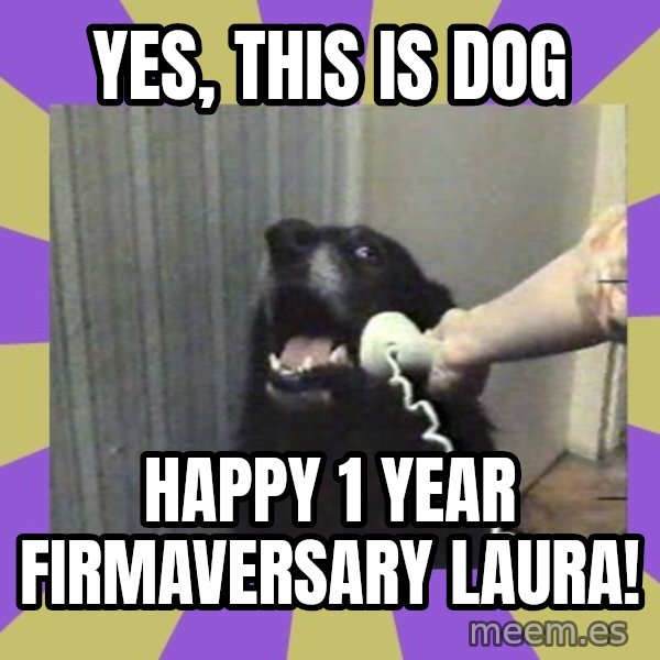 Yes, this is dog! meme: Yes, this is Dog / Happy 1 year Firmaversary Laura!