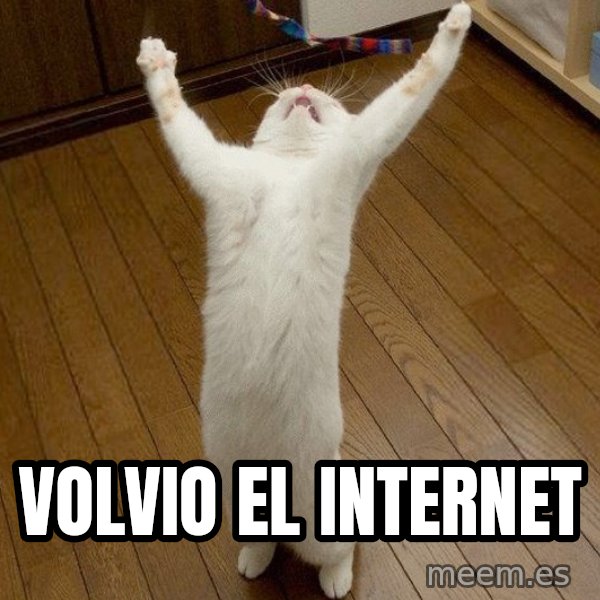 praise the lord cat meme: Volvio el internet