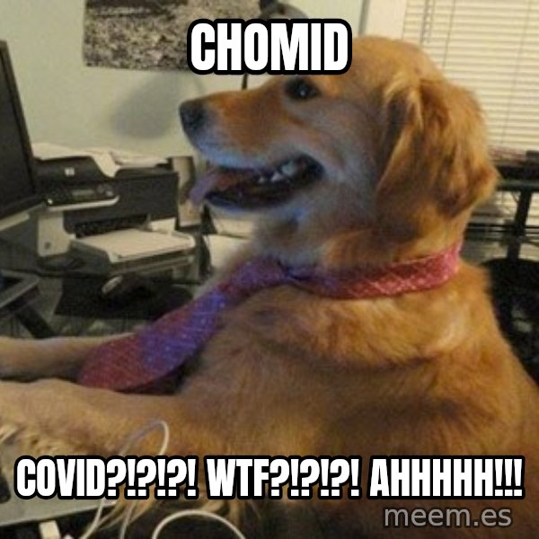 I have no idea what I'm doing - Dog with Tie meme: Chomid / COVID?!?!?! WTF?!?!?! Ahhhhh!!!