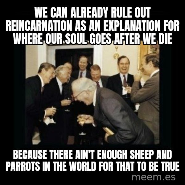 Rich Men Laughing meme: We can already rule out reincarnation as an explanation for where our soul goes after we die / Because there ain't enough sheep and parrots in the world for that to be true