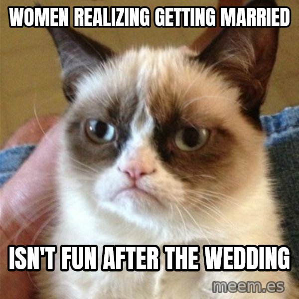 Grumpy Cat  meme: women realizing getting married / isn't fun after the wedding