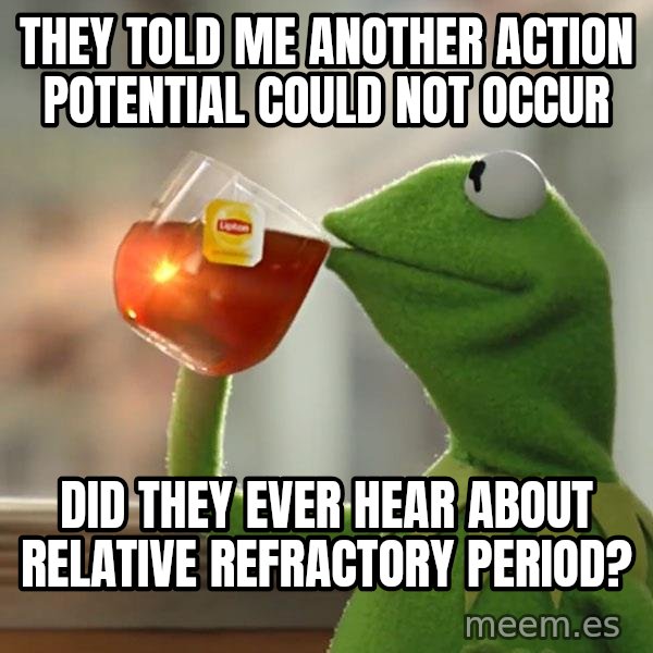Kermit The Frog Drinking Tea meme: they told me another action potential could not occur / did they ever hear about relative refractory period?