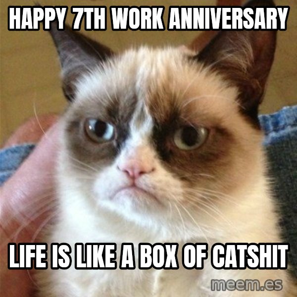 Grumpy Cat  meme: Happy 7th Work Anniversary / Life is like a box of catshit