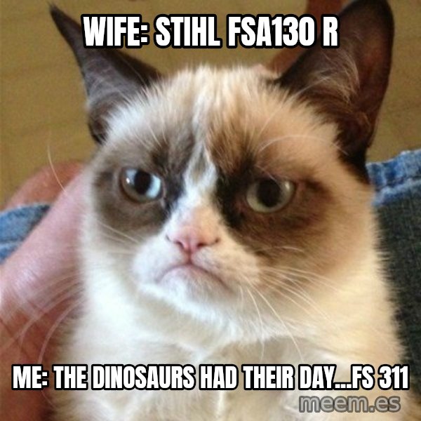 Grumpy Cat  meme: Wife: Stihl FSA130 R / Me: the dinosaurs had their day...FS 311
