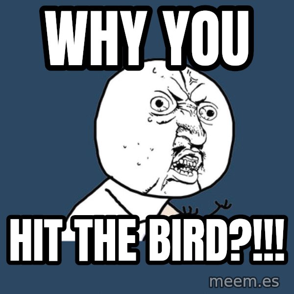 Y U No meme: why you / hit the bird?!!!