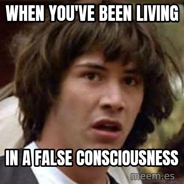 Conspiracy Keanu meme: When you've been living / in a false consciousness