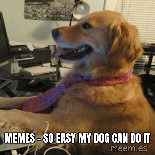 I have no idea what I'm doing - Dog with Tie meme: memes - so easy my dog can do it