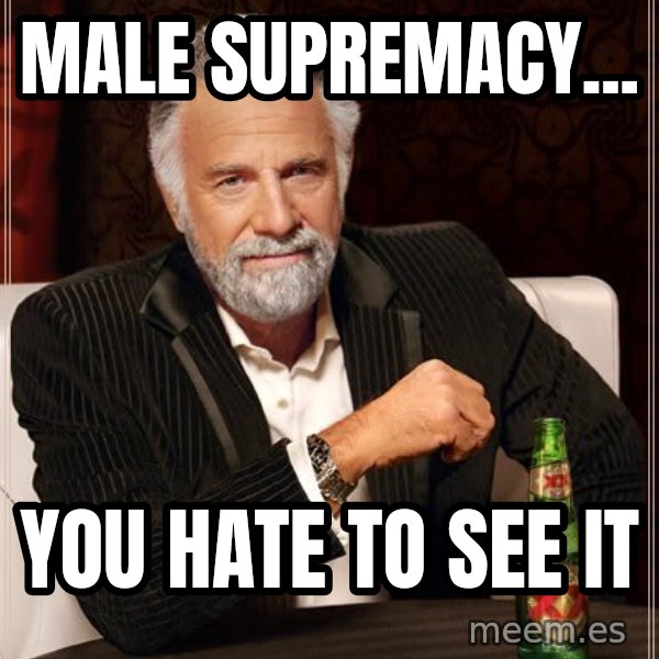 The Most Interesting Man In The World meme: male supremacy... / you hate to see it