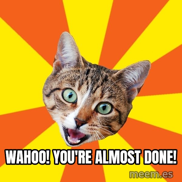 Bad Advice Cat meme: Wahoo! You're almost done!