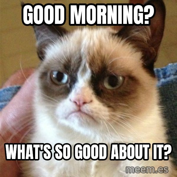 Grumpy Cat  meme: Good morning? / What's so good about it?