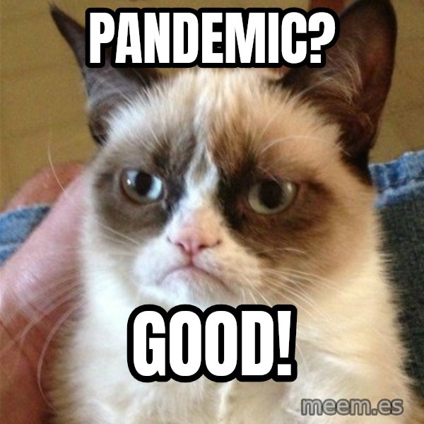 Grumpy Cat  meme: Pandemic? / Good!