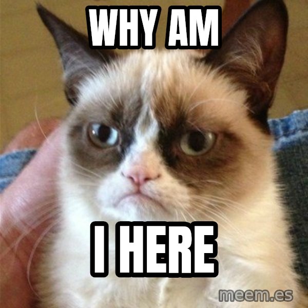 Grumpy Cat  meme: Why Am / I Here