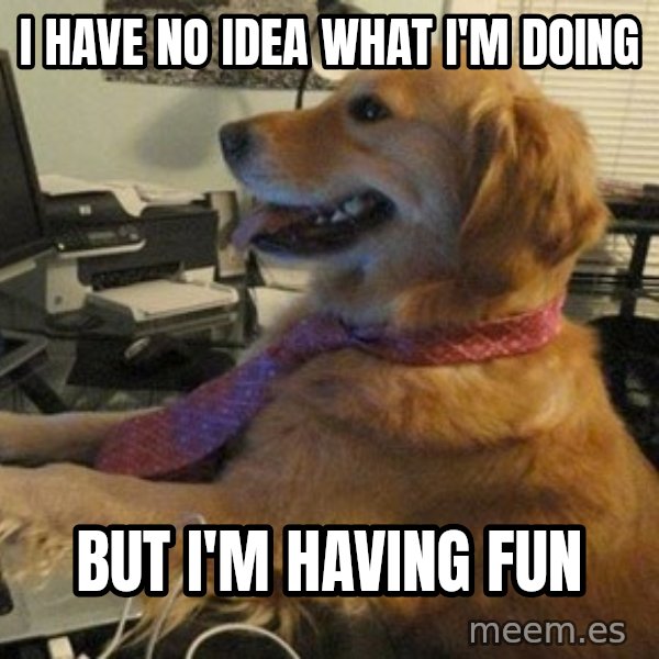 I have no idea what I'm doing - Dog with Tie meme: i have no idea what i'm doing / but i'm having fun