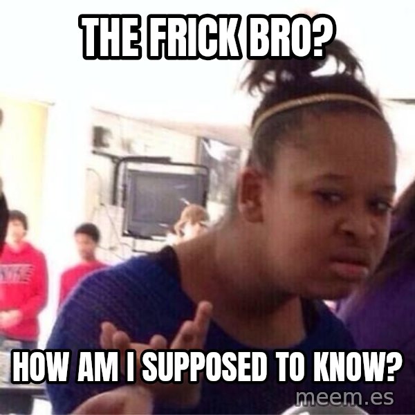Confused Black Girl meme: the frick bro? / how am I supposed to know?