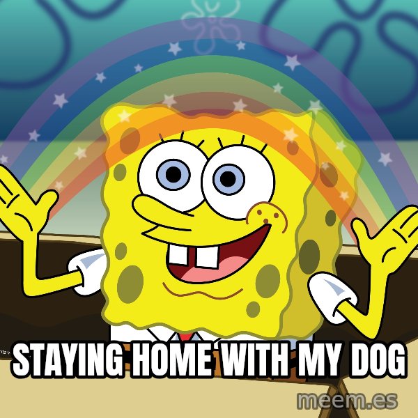 spongebob rainbow meme: Staying home with my dog