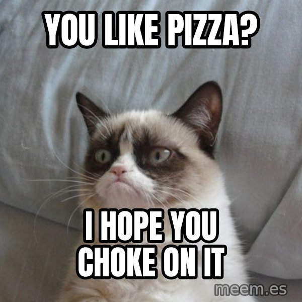 Grumpy cat good meme: You like pizza? / I hope you choke on it