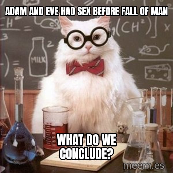 Chemistry Cat meme: Adam and Eve had sex before fall of man / what do we conclude?