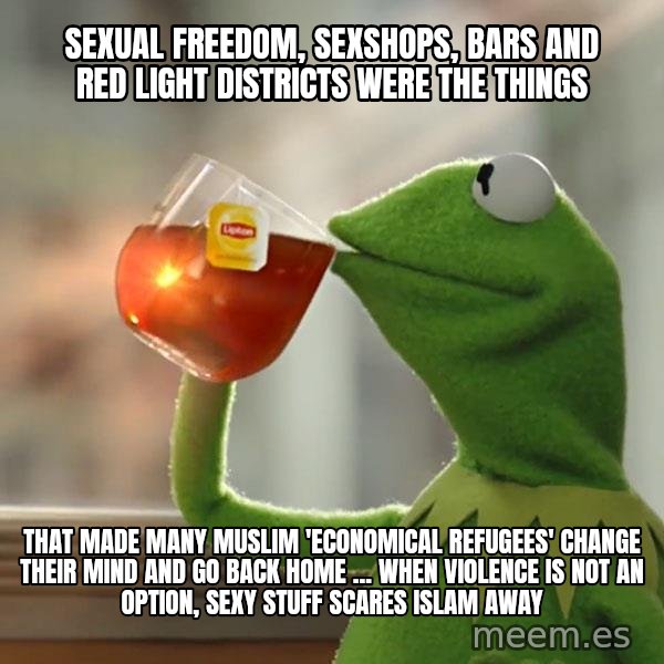 Kermit The Frog Drinking Tea meme: sexual freedom, sexshops, bars and red light districts were the things / that made many muslim 'economical refugees' change their mind and go back home ... when violence is not an option, sexy stuff scares islam away