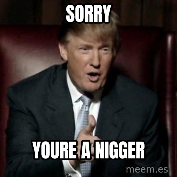 Donald Trump meme: Sorry / Youre a Nigger