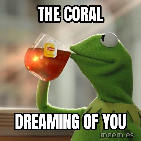 Kermit The Frog Drinking Tea meme: The Coral / Dreaming of You