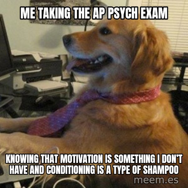 I have no idea what I'm doing - Dog with Tie meme: Me taking the AP Psych Exam / Knowing that motivation is something I don’t have and conditioning is a type of shampoo