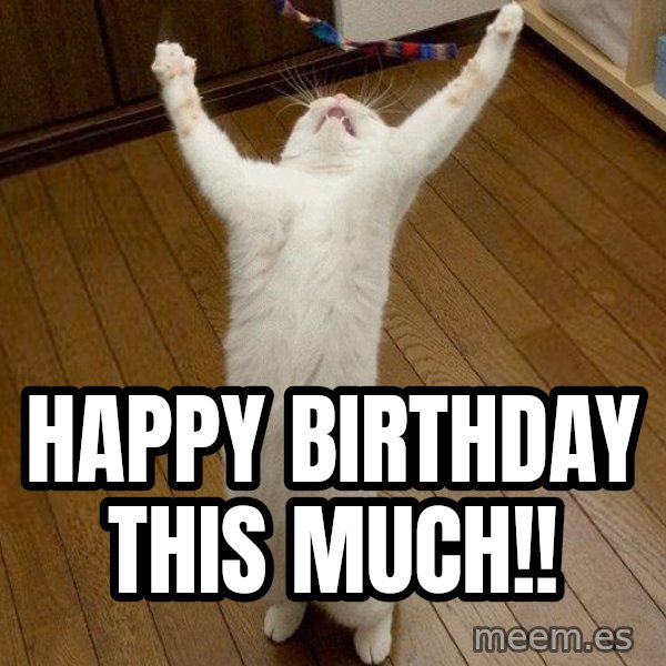 praise the lord cat meme: Happy Birthday This Much!!