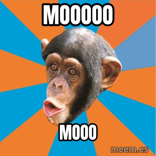 Stupid Monkey meme: mooooo / mooo