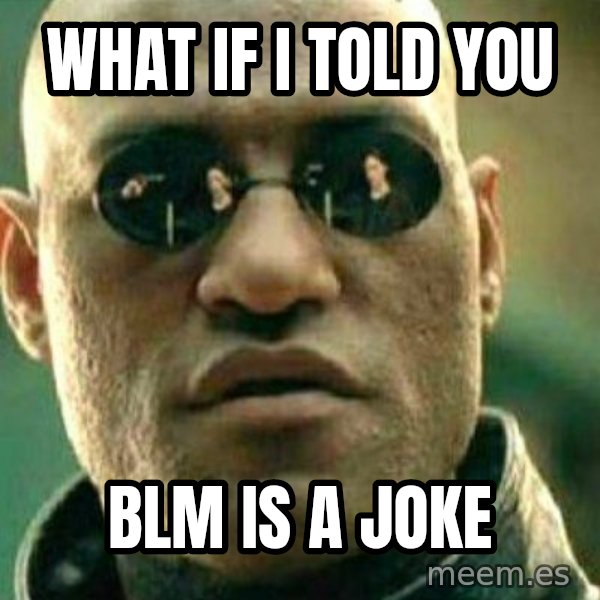 What If I Told You meme: what if i told you / Blm is a joke