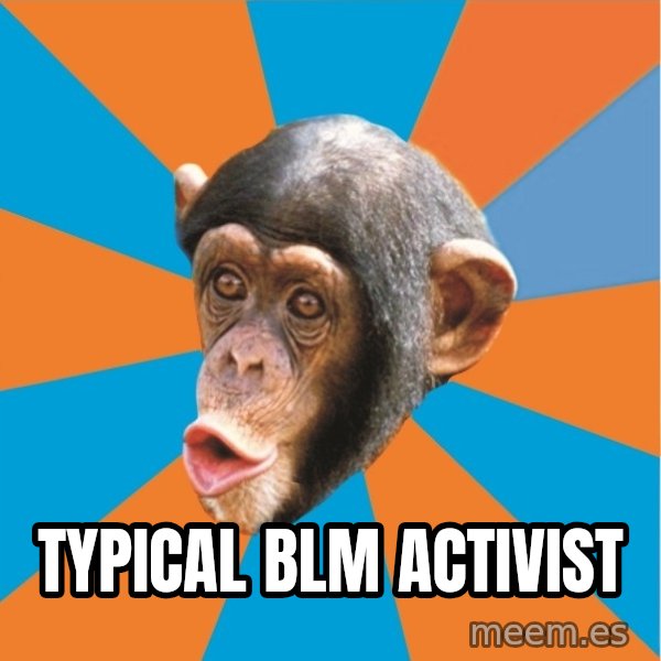 Stupid Monkey meme: typical blm activist