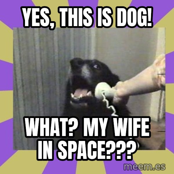 Yes, this is dog! meme: Yes, this is dog! / WHAT? My wife in space???