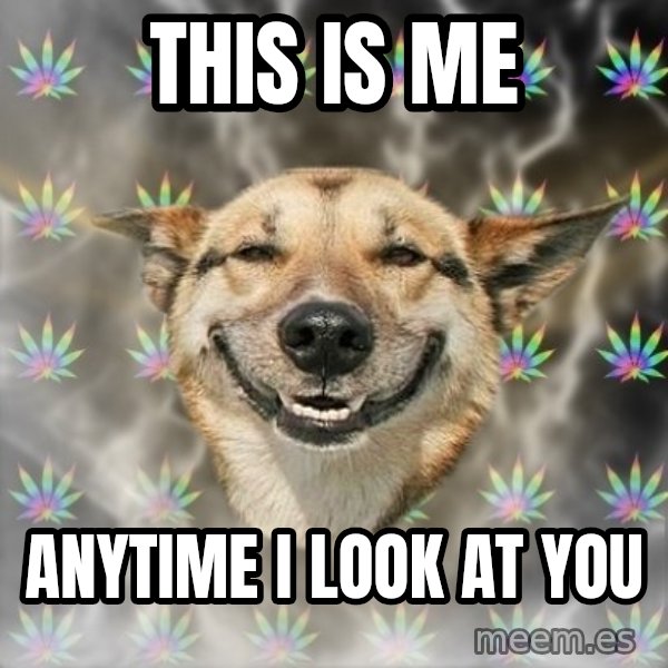 Stoner Dog meme: This is me / Anytime i look at you