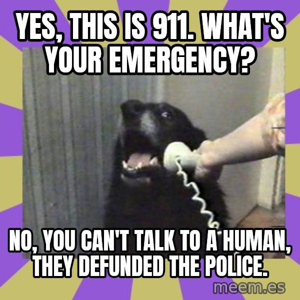 Yes, this is dog! meme: Yes, this is 911. What's your emergency? / No, you can't talk to a human, they defunded the police.
