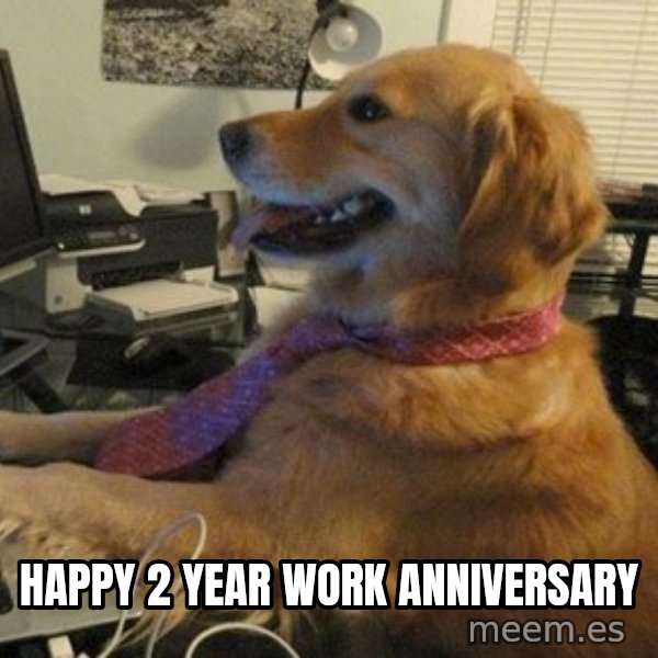 I have no idea what I'm doing - Dog with Tie meme: Happy 2 Year Work Anniversary