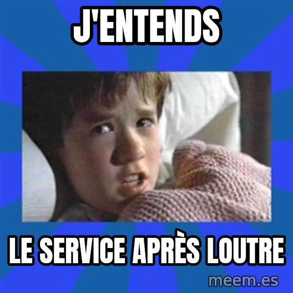 i see dead people meme: J'entends / le service après loutre