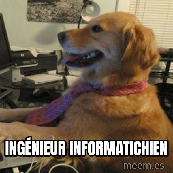 I have no idea what I'm doing - Dog with Tie meme: Ingénieur informatichien