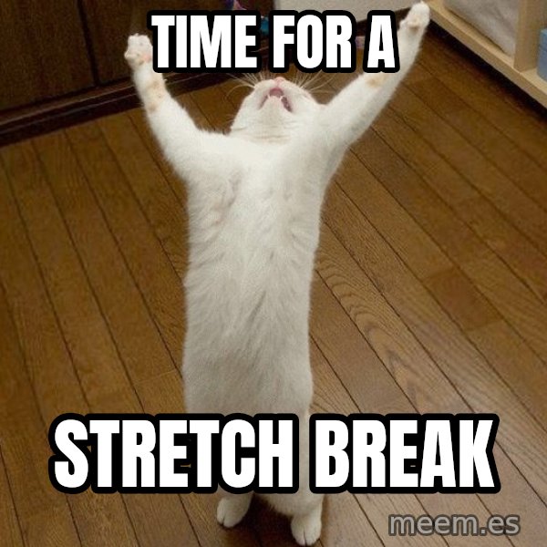 praise the lord cat meme: TIME FOR A / STRETCH BREAK